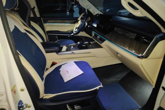 Tank 500 2022 imagen de coche #7