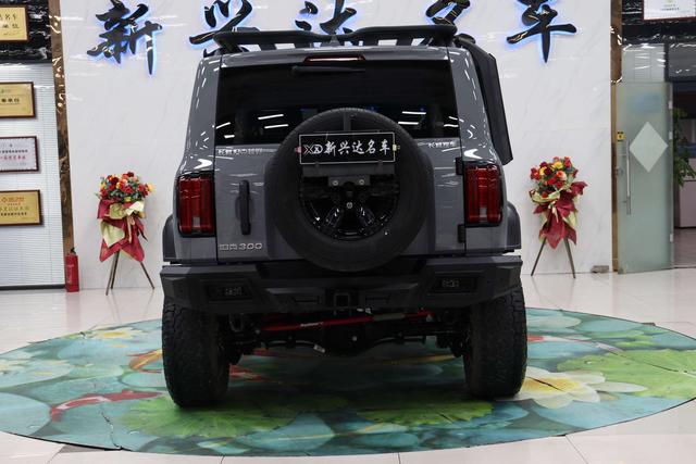 坦克 坦克300 2024 汽车图片 #7