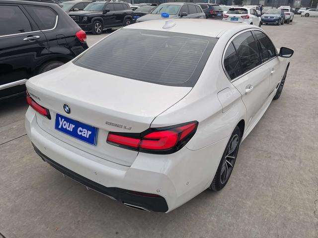 BMW 5 Series 2021 car image #7