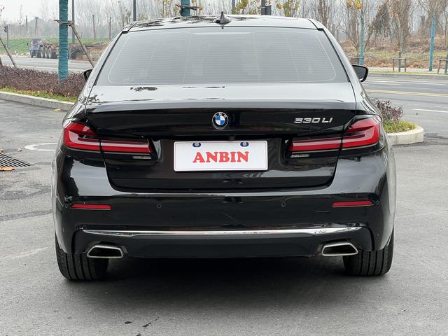 BMW 5 Series 2021 #7 BMW 5 Series 2021 car image #7