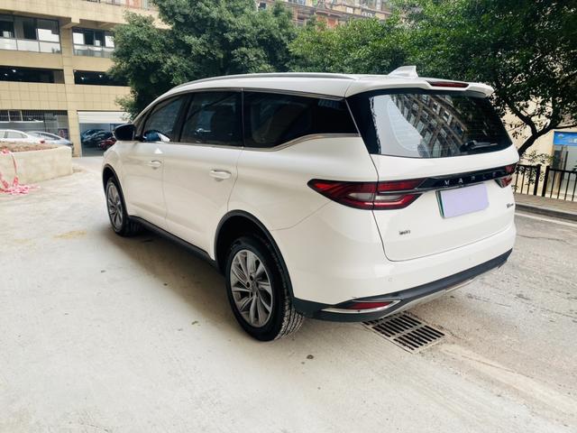 睿蓝汽车 枫叶80v PRO 2023 汽车图片 #7