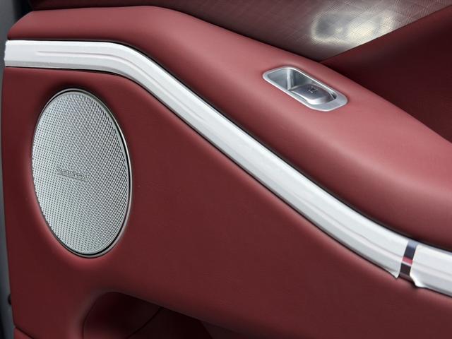 Tank 700 New Energy 2025 immagine di auto #7