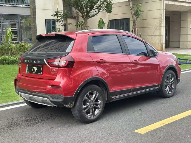 睿蓝汽车 枫叶30X 2020 汽车图片 #7