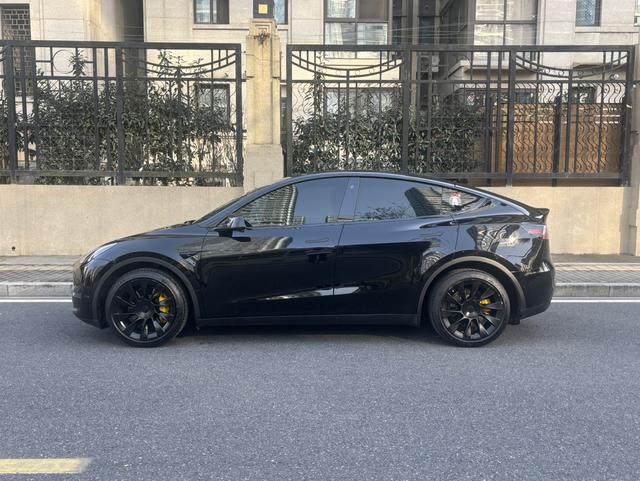 Tesla 2021 immagine di auto #7