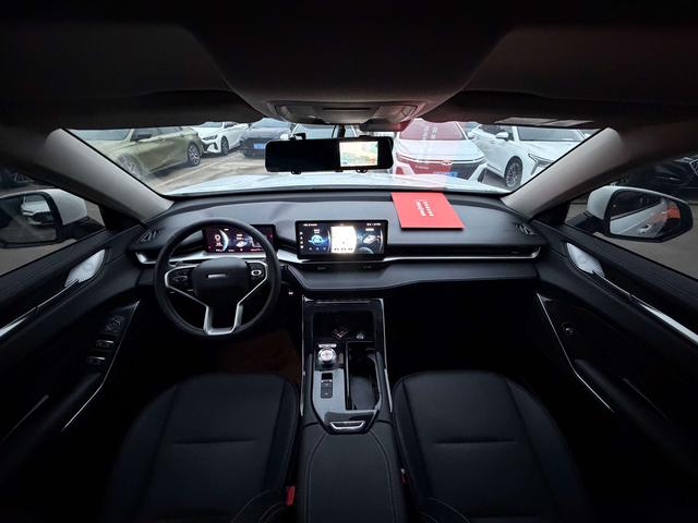 Haval 2021 immagine di auto #7