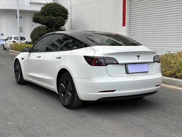 Tesla Model 3 2022 car image #7