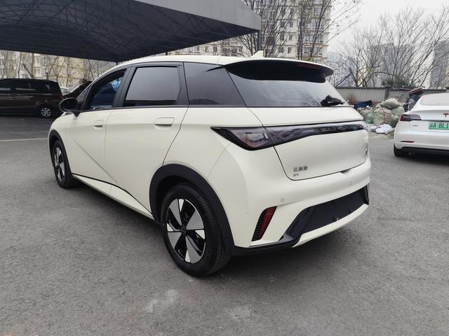 BYD Dolphin 2023 car image #7
