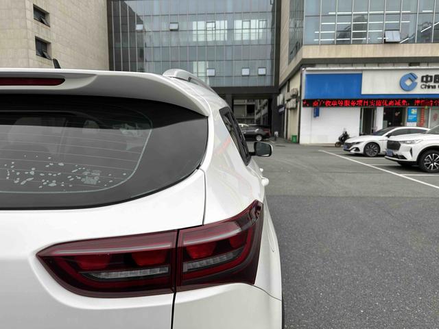 X70M 2020 car image #7