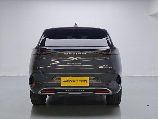 Denza 2021 imagem de carro #7