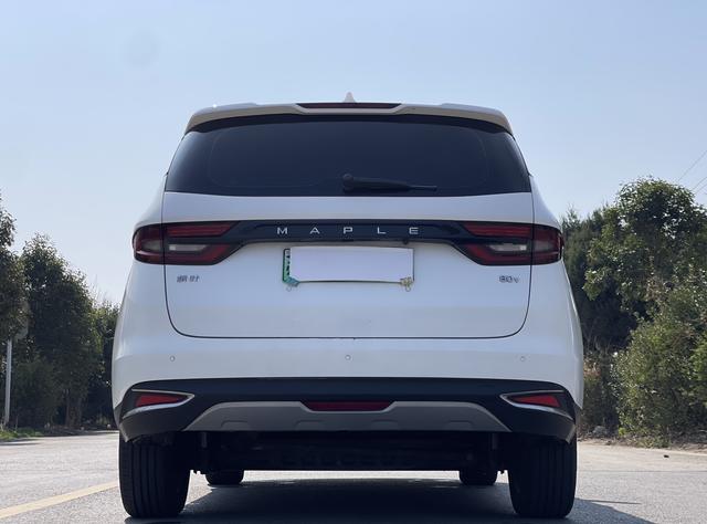 睿蓝汽车 枫叶80v 2020 汽车图片 #7