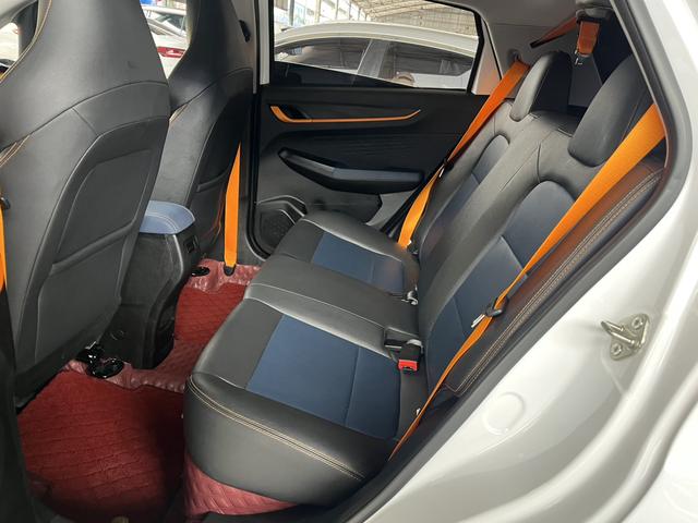 睿蓝汽车 睿蓝汽车X3 PRO 2023 汽车图片 #7