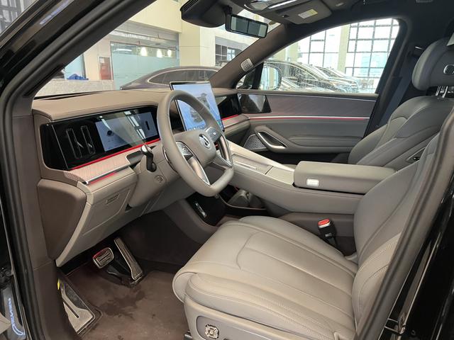 Denza 2025 imagem de carro #7