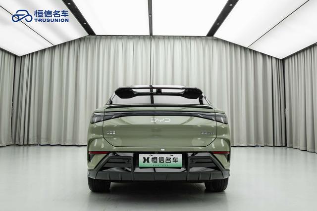 BYD Sea Lion 07 EV 2024 car image #7