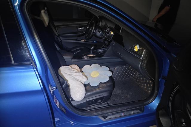 BMW 3 Series 2017 car image #7
