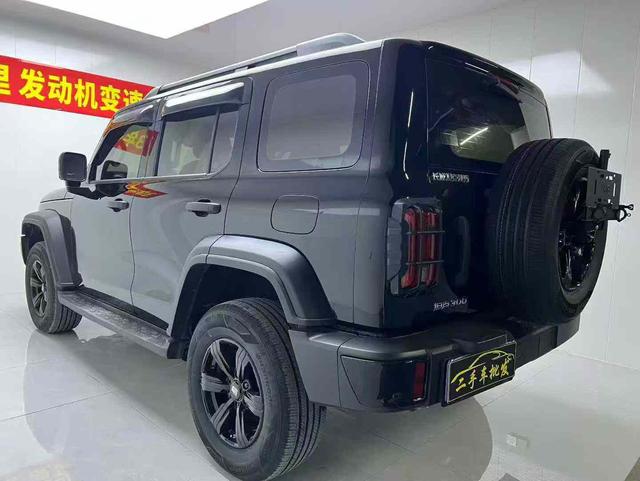 Tank 300 2024 immagine di auto #7