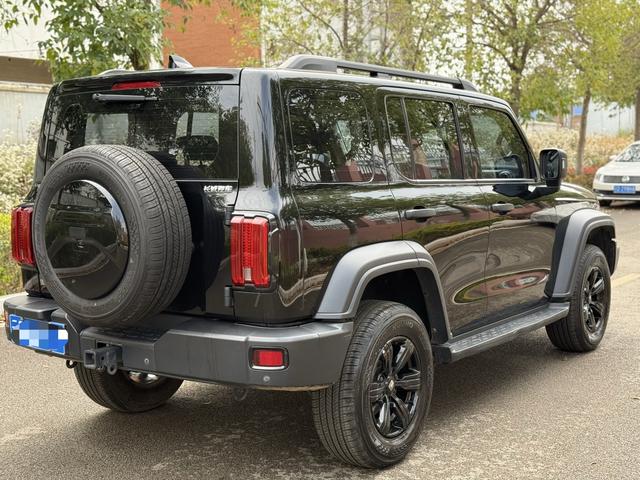 Tank 300 2022 car image #7