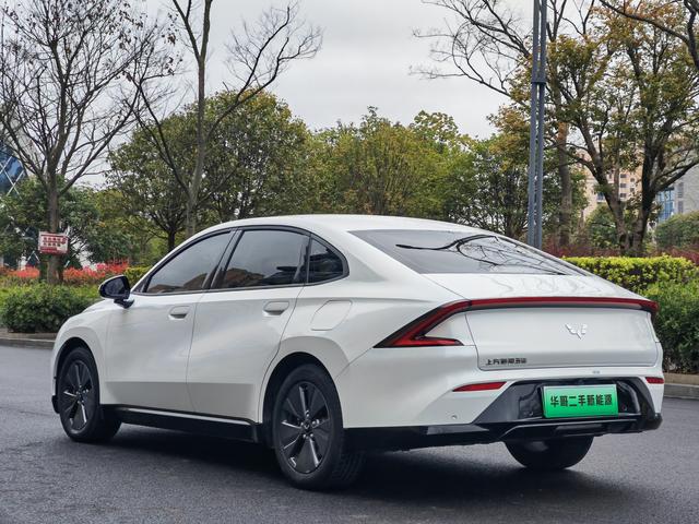 Wuling Starlight 2024 car image #7