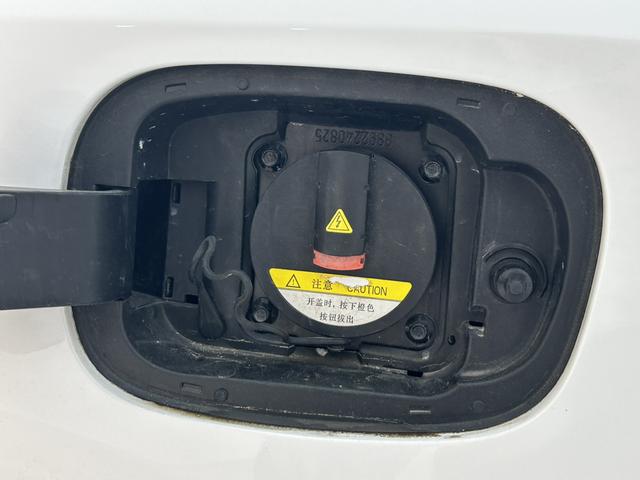 睿蓝汽车 枫叶60s 2022 汽车图片 #7