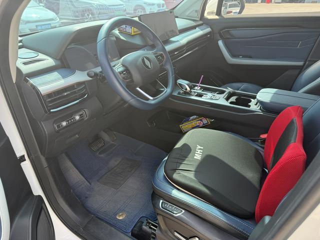 睿蓝汽车 睿蓝9 2024 汽车图片 #7