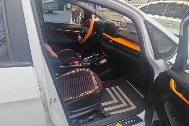 睿蓝汽车 睿蓝汽车X3 PRO 2022 汽车图片 #7