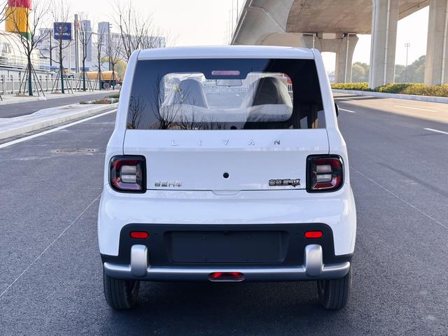 睿蓝汽车 睿蓝蓝精灵 2026 汽车图片 #7