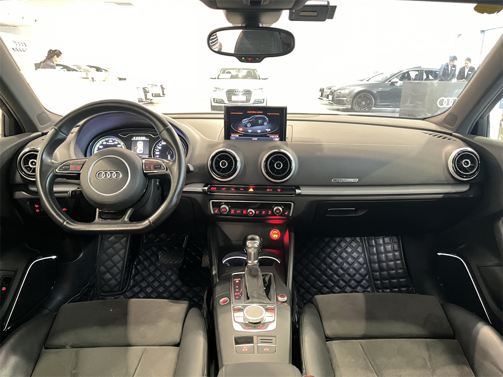 Audi A3 New Energy (Imported) 2016 immagine di auto #7