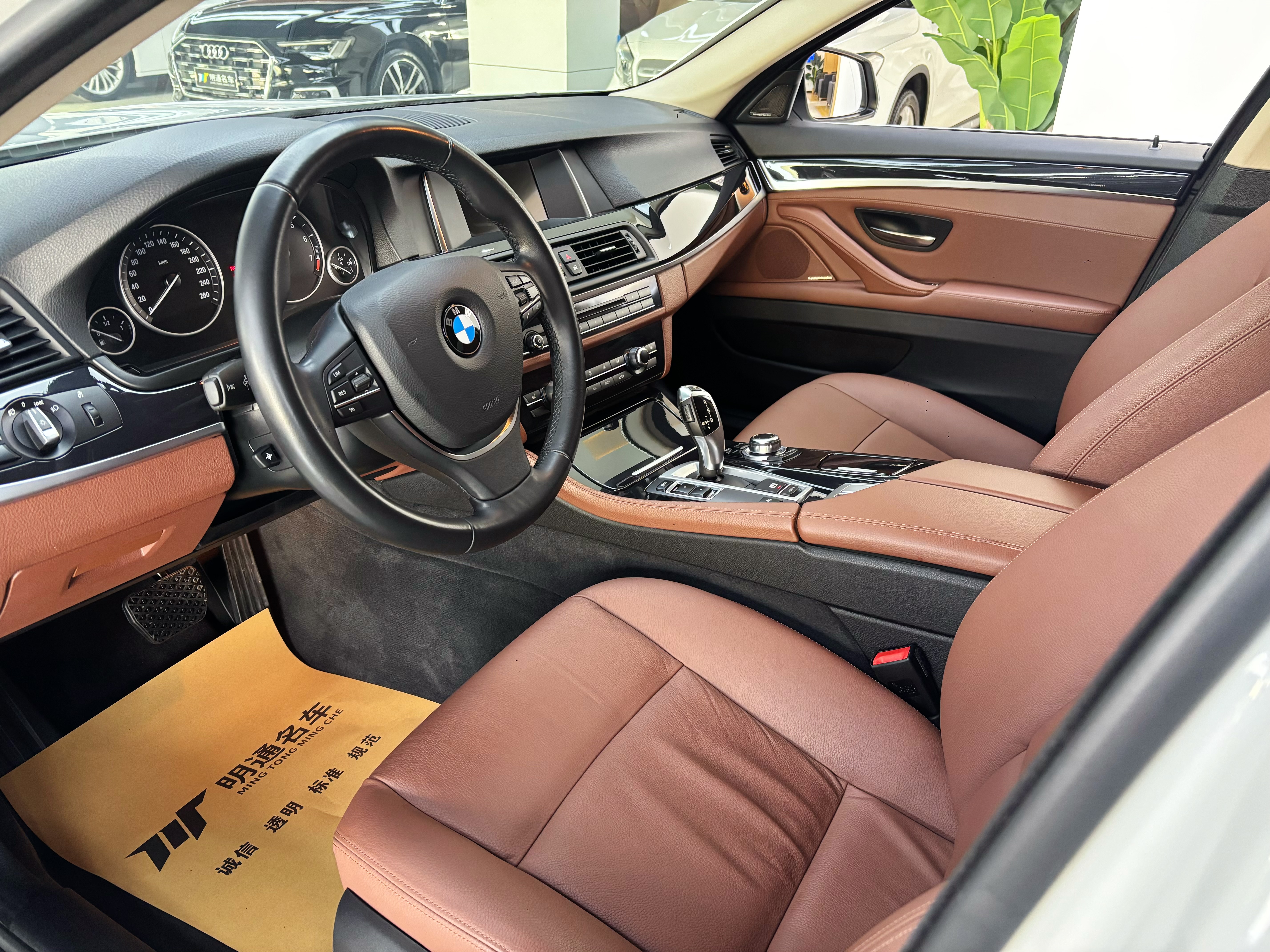BMW 5 Series 2016 car image #7