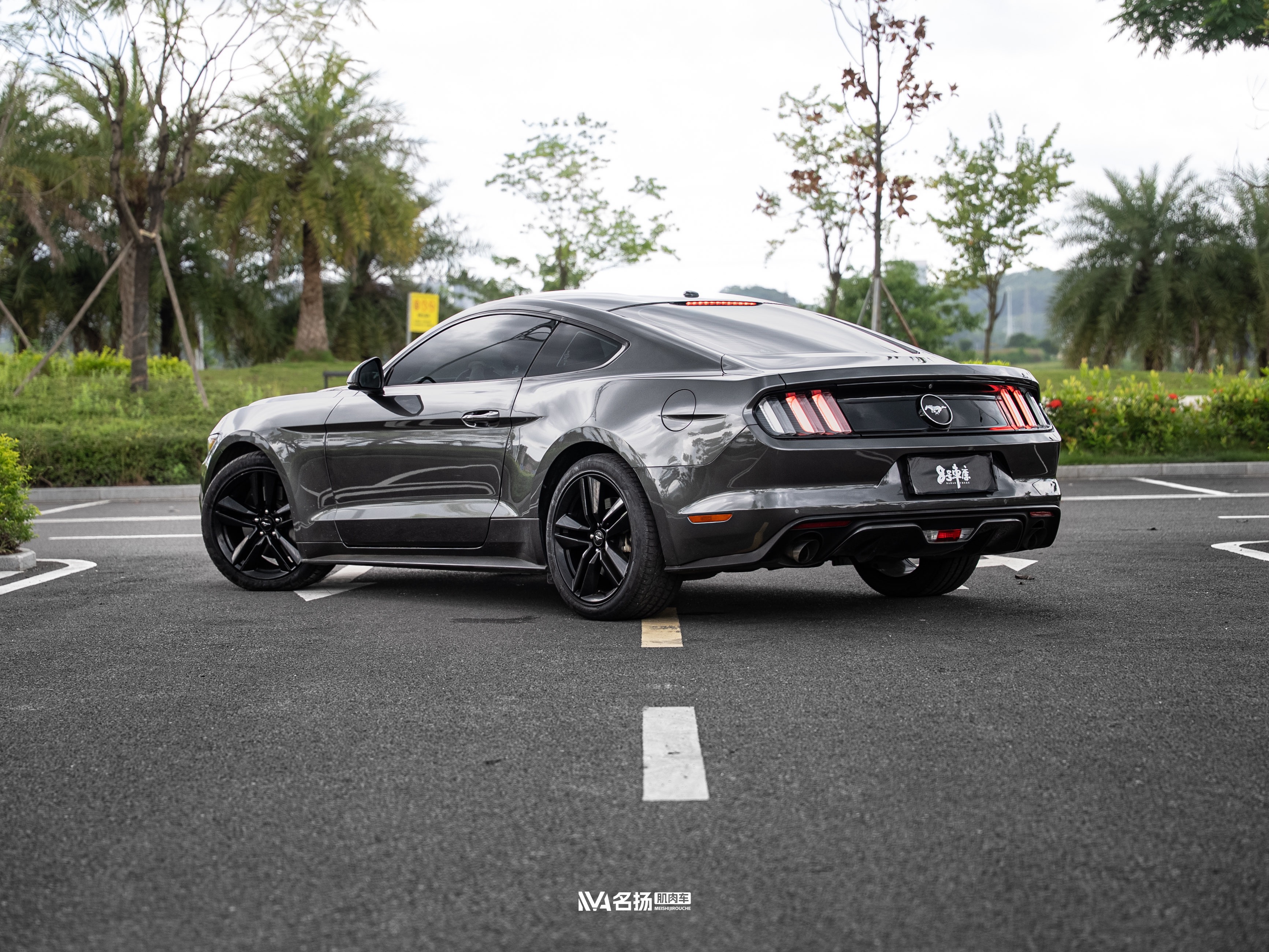 Ford Mustang 2017 #7 Ford Mustang 2017 car image #7