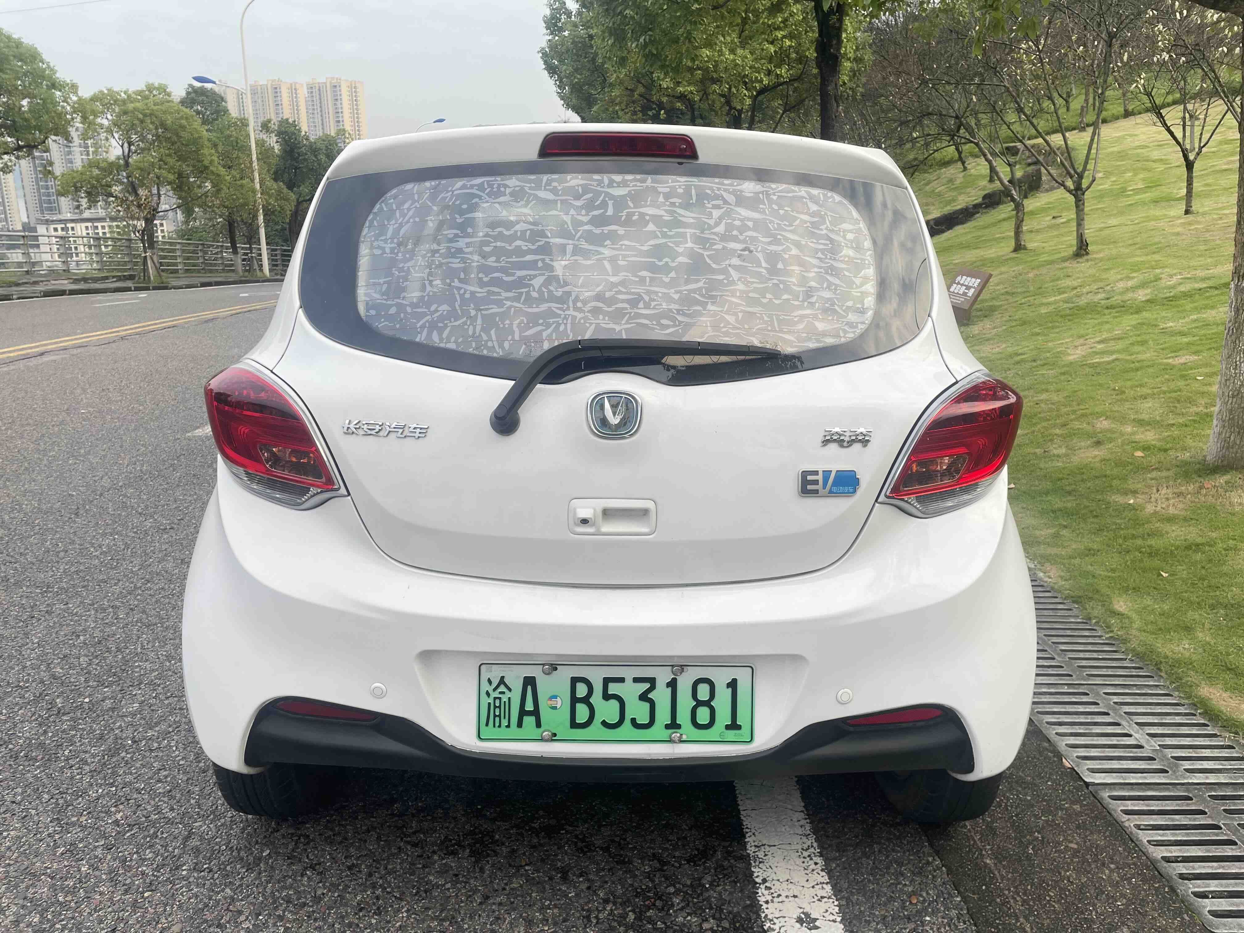 Changan BenBen EV 2017 car image #7
