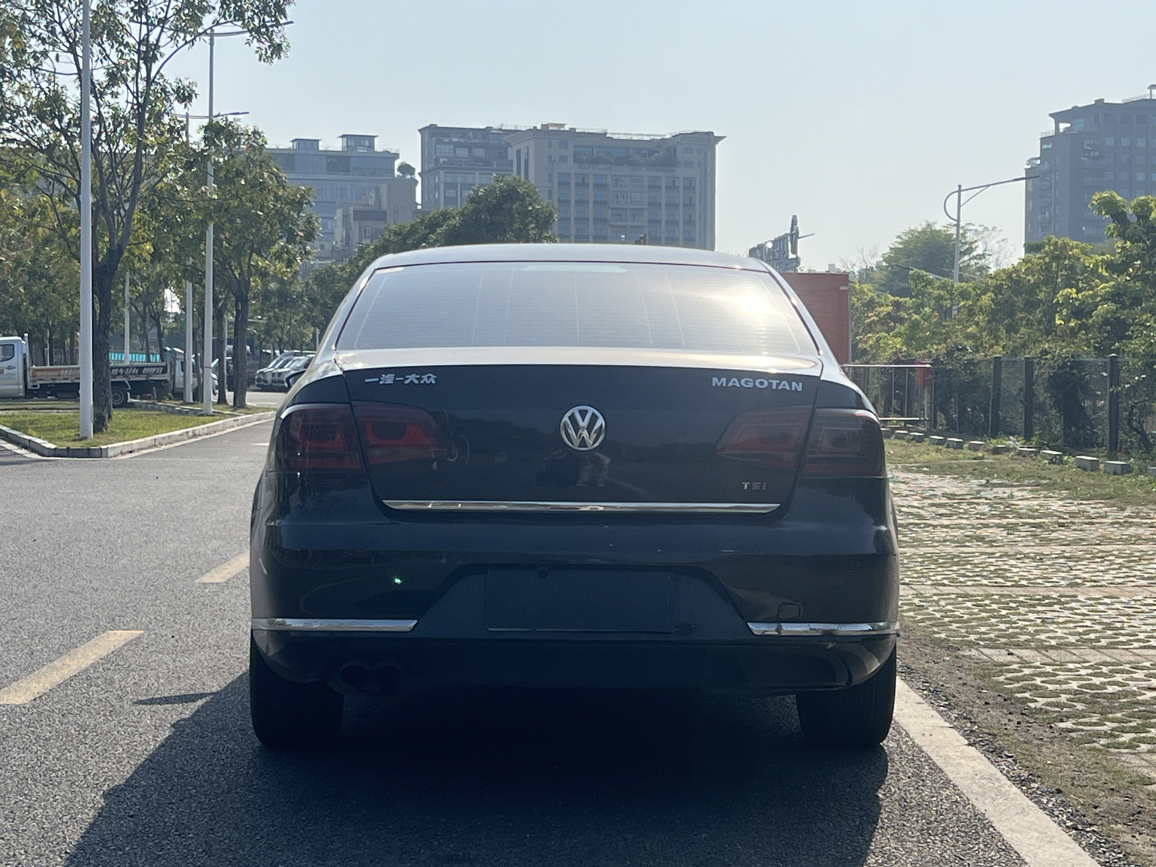 Volkswagen Magotan 2014 immagine di auto #7