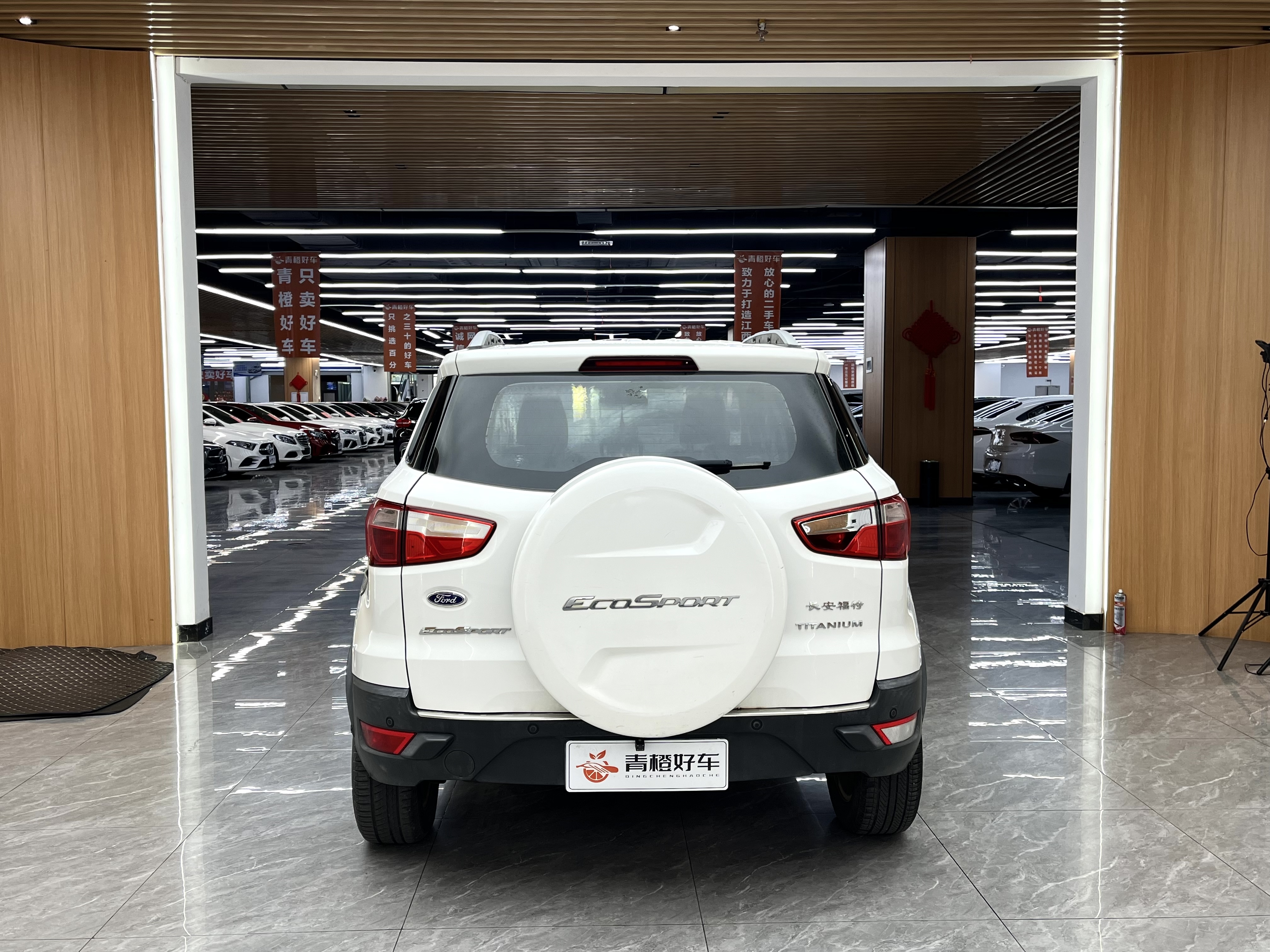 Ford EcoSport 2013 immagine di auto #7