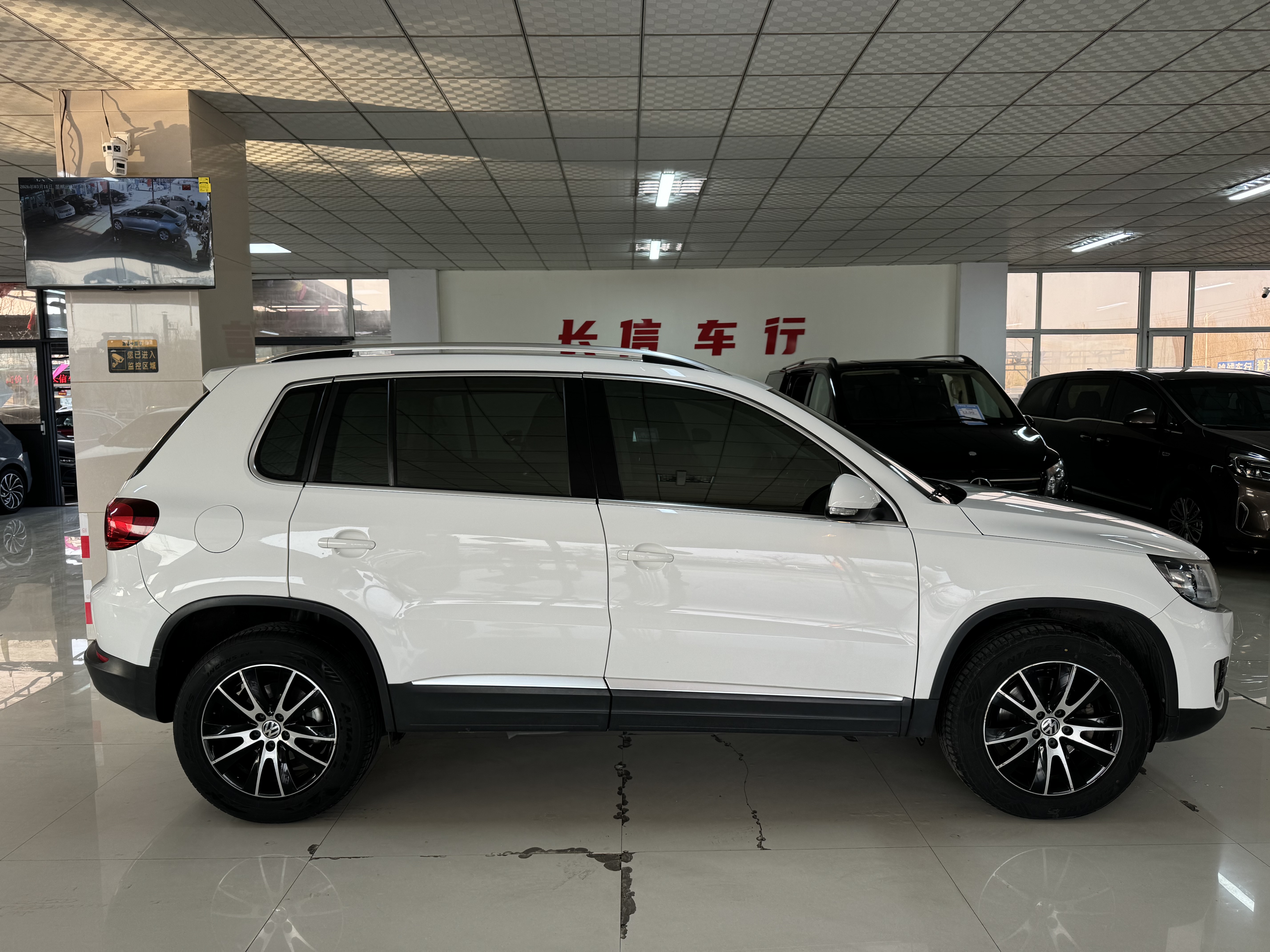 Volkswagen Tiguan 2014 car image #7