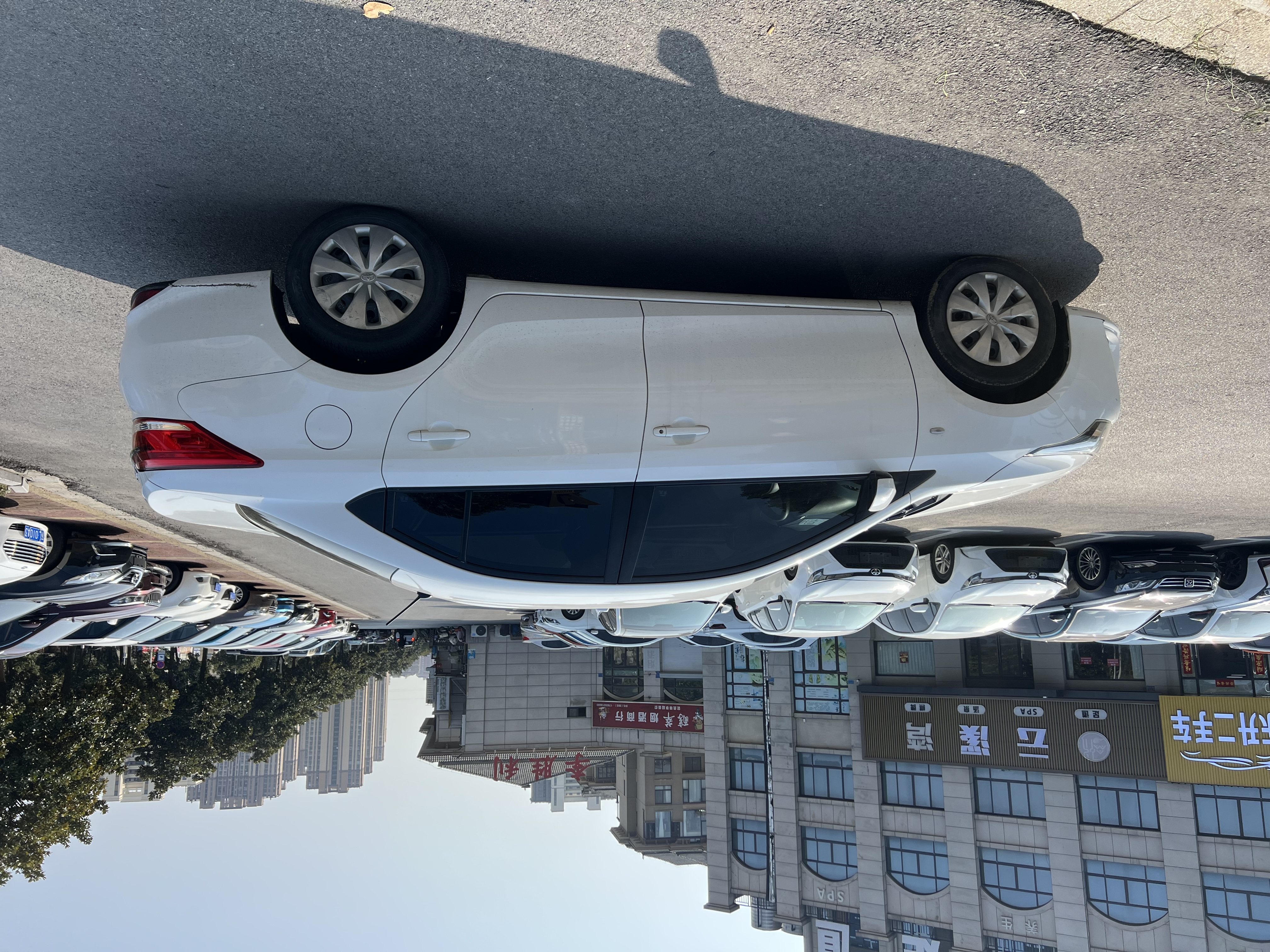 Yaris L Zhixiang 2018 car image #7