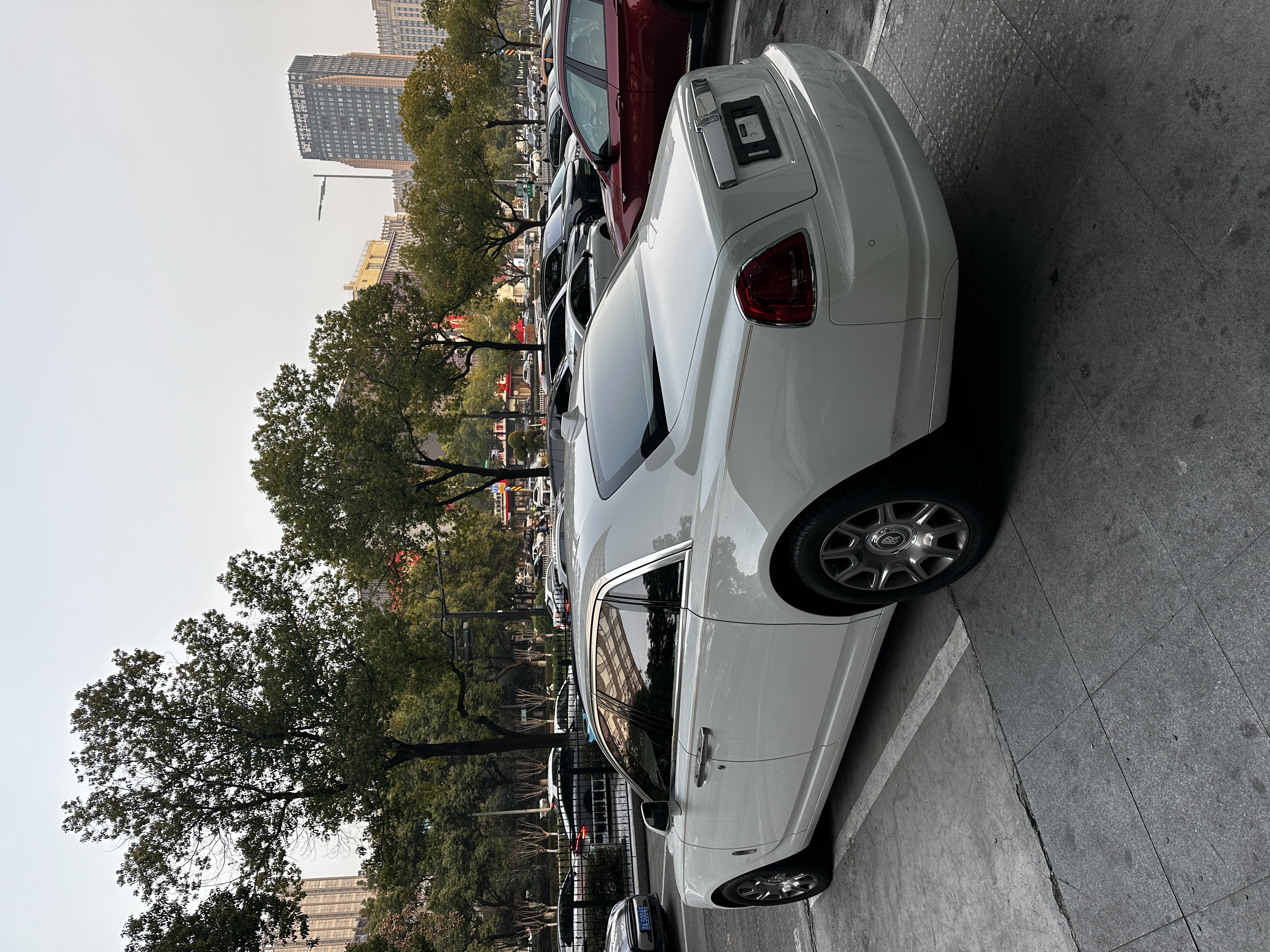 劳斯莱斯 古思特 2018 汽车图片 #7