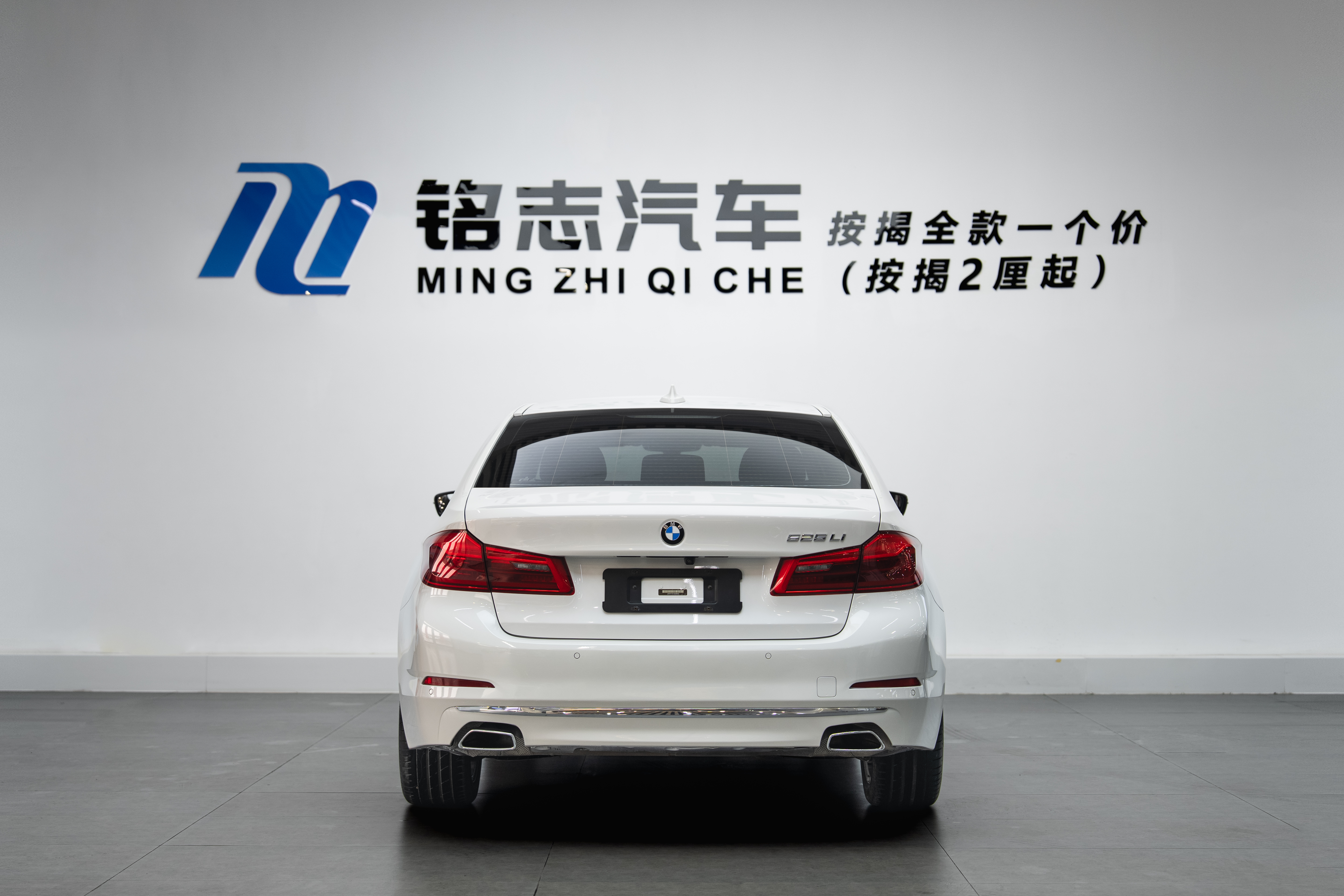 BMW 5 Series 2018 car image #7