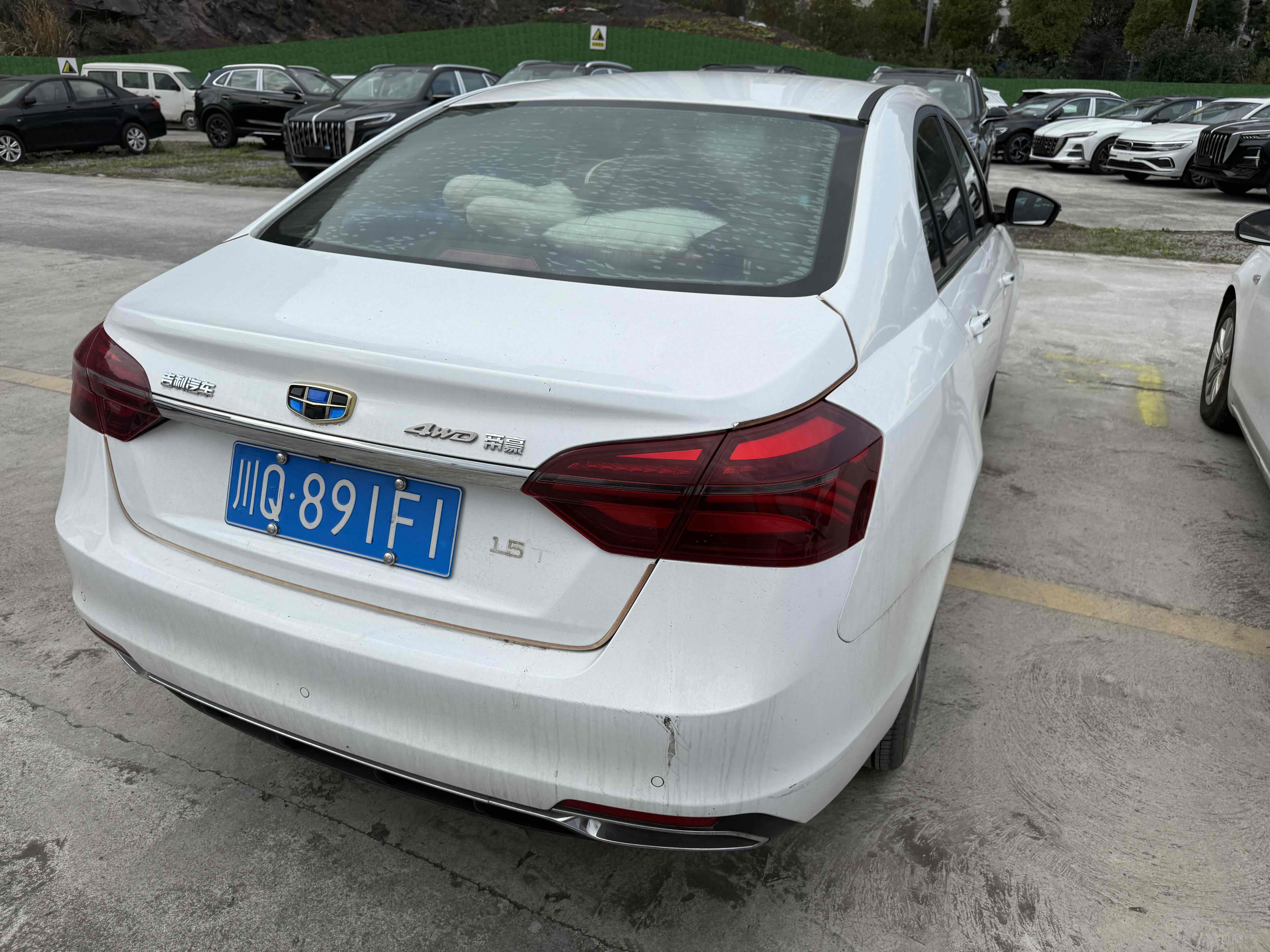 Emgrand 2019 #7 Emgrand 2019 car image #7