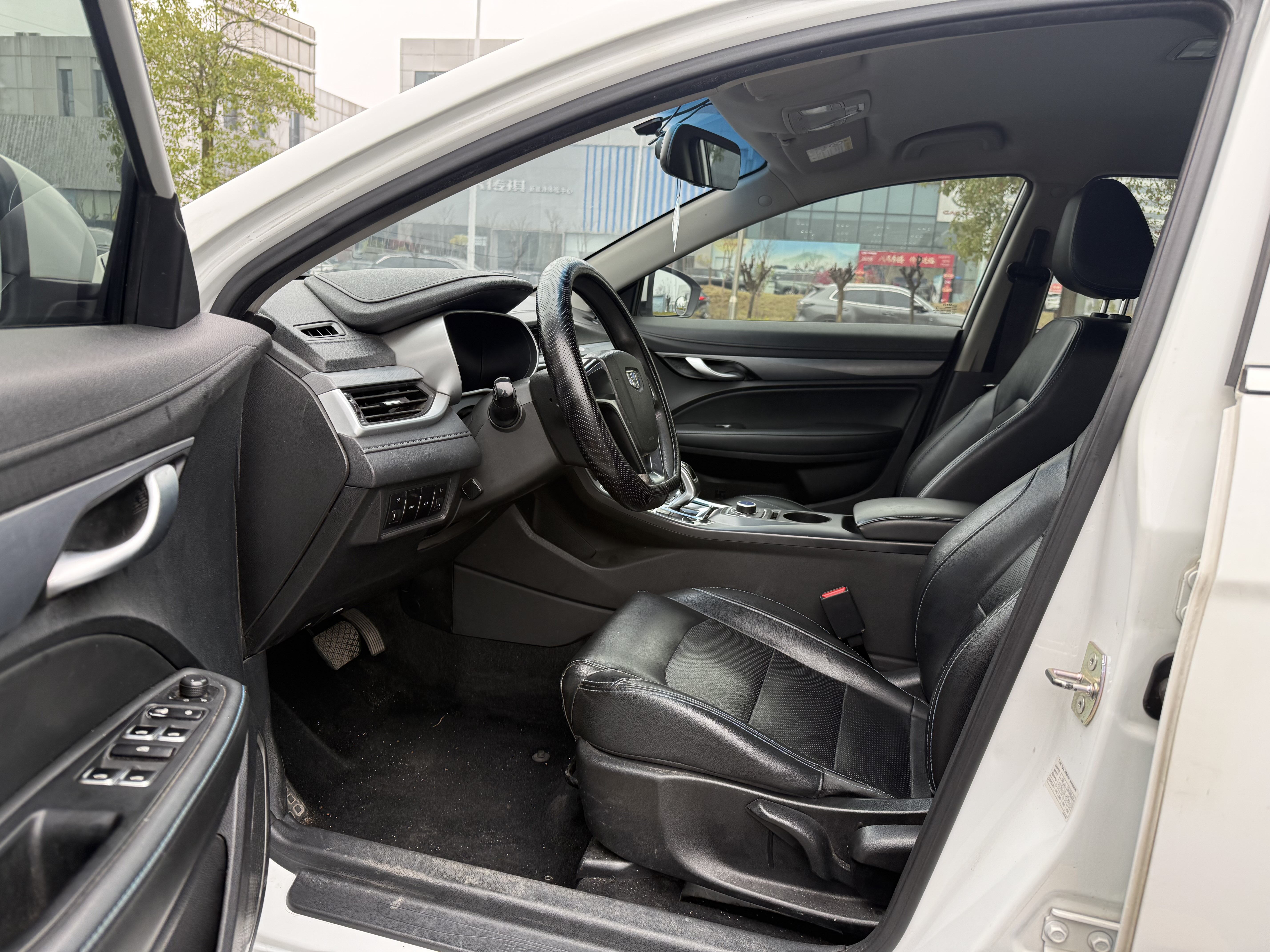 Emgrand New Energy 2019 car image #7