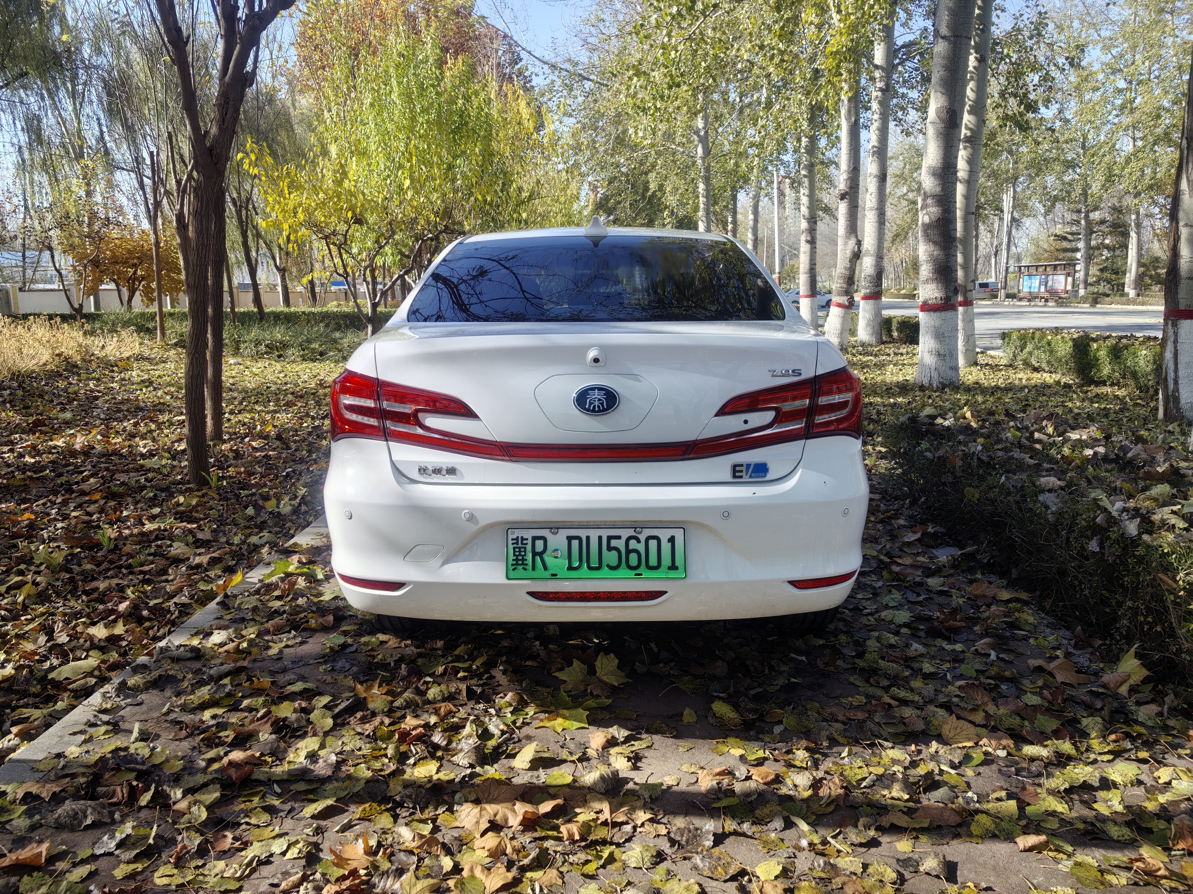 BYD Qin New Energy 2018 car image #7