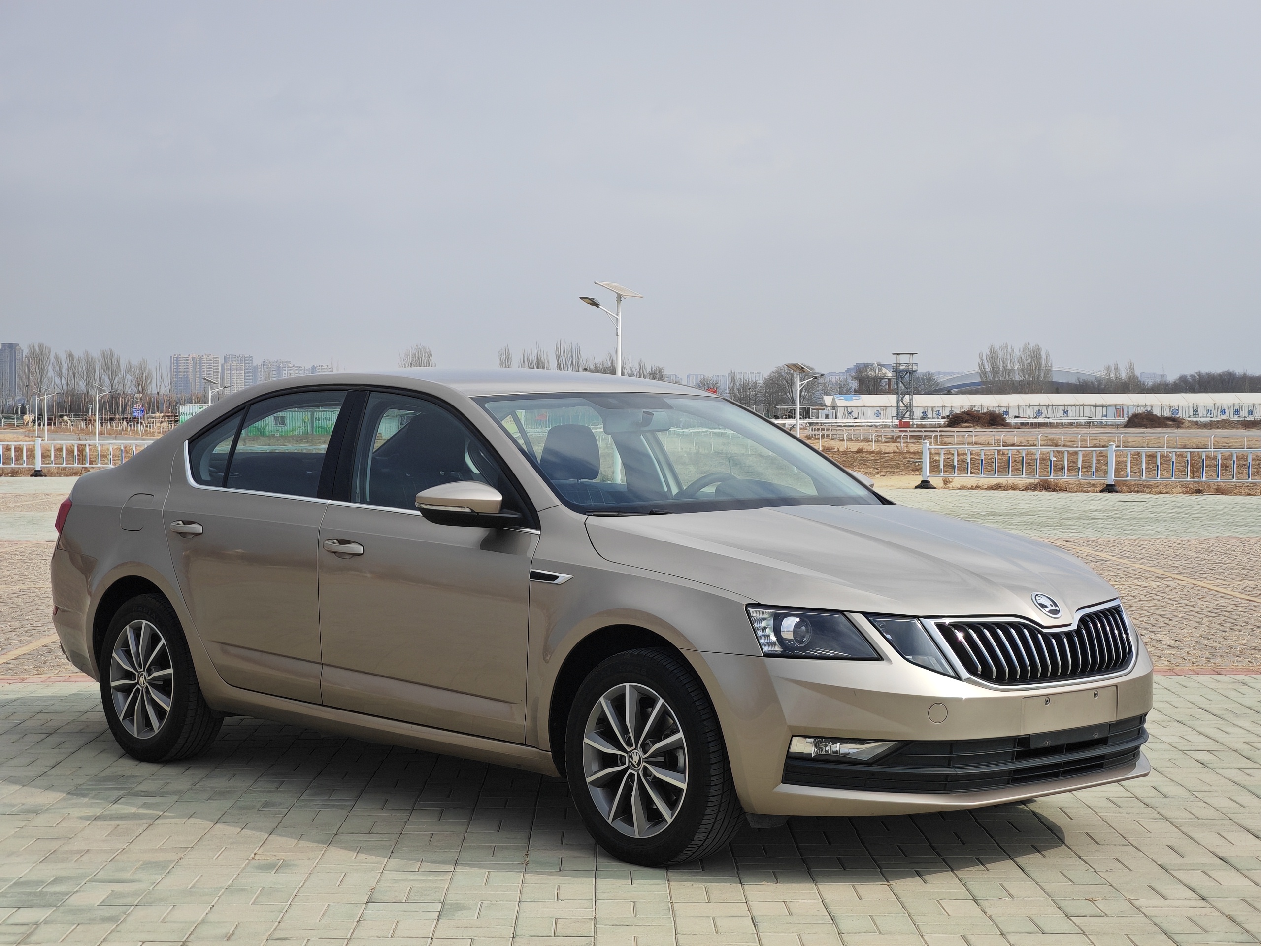 Skoda Octavia 2019 car image #7
