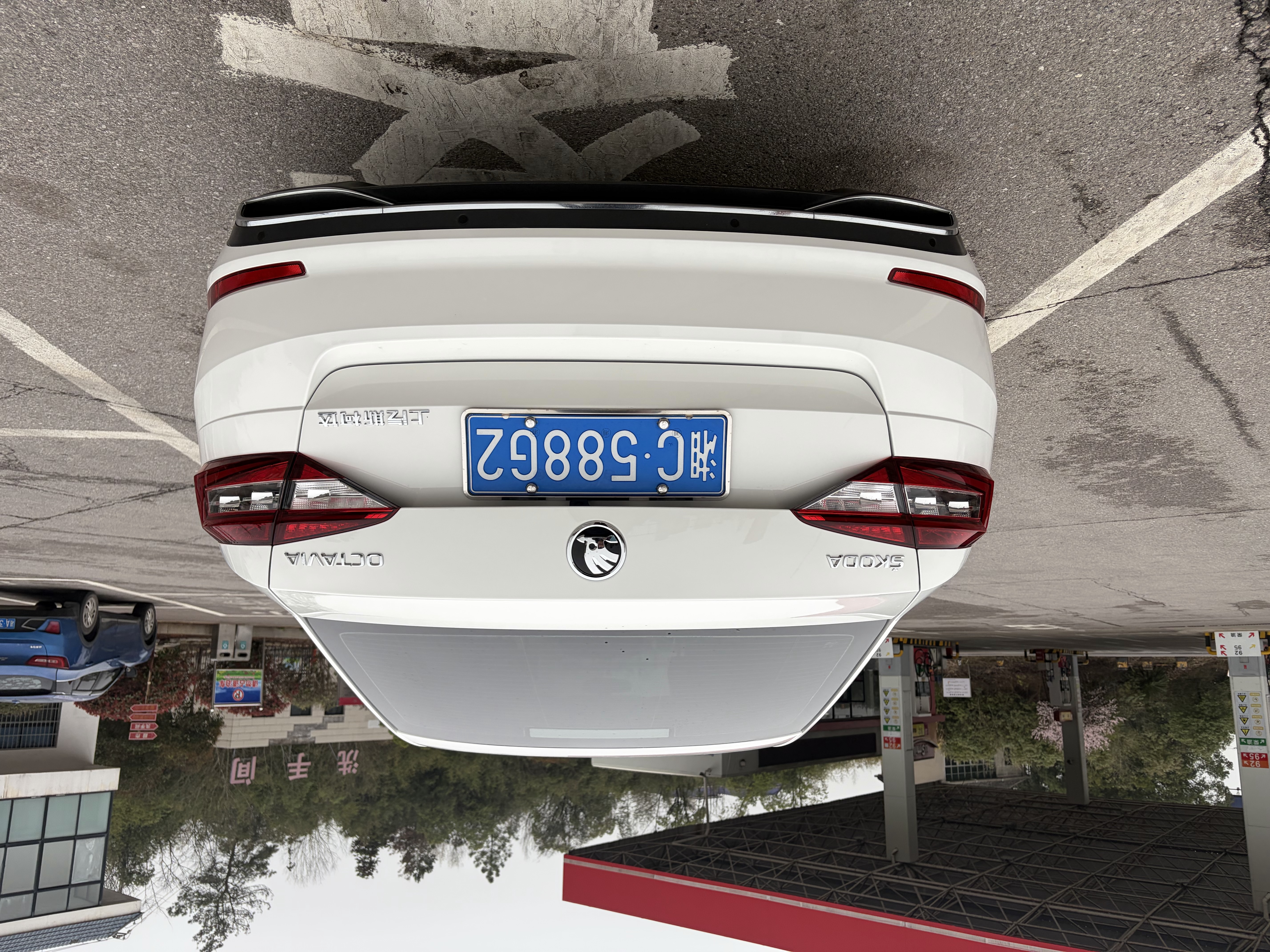 Skoda Octavia 2019 car image #7