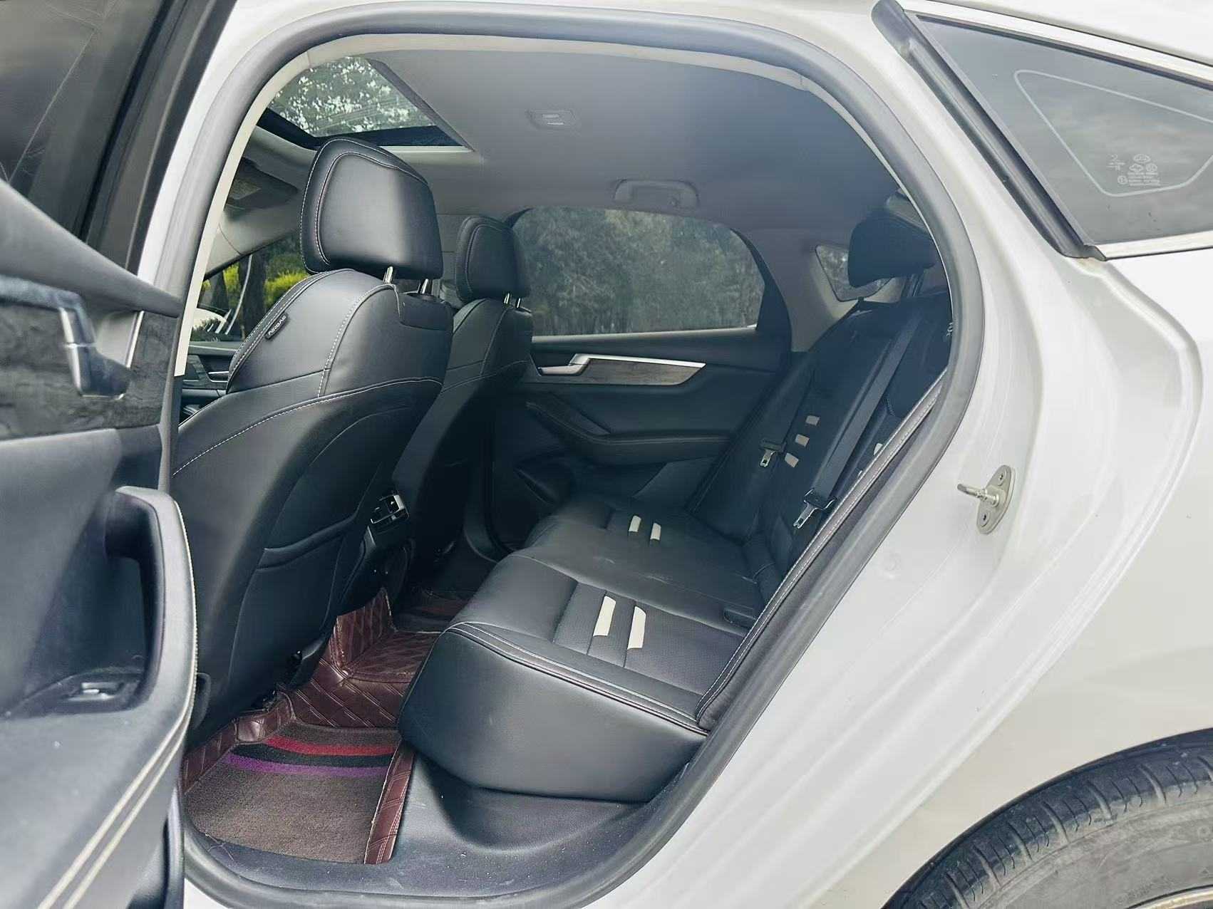 BYD Qin Pro New Energy 2019 car image #7