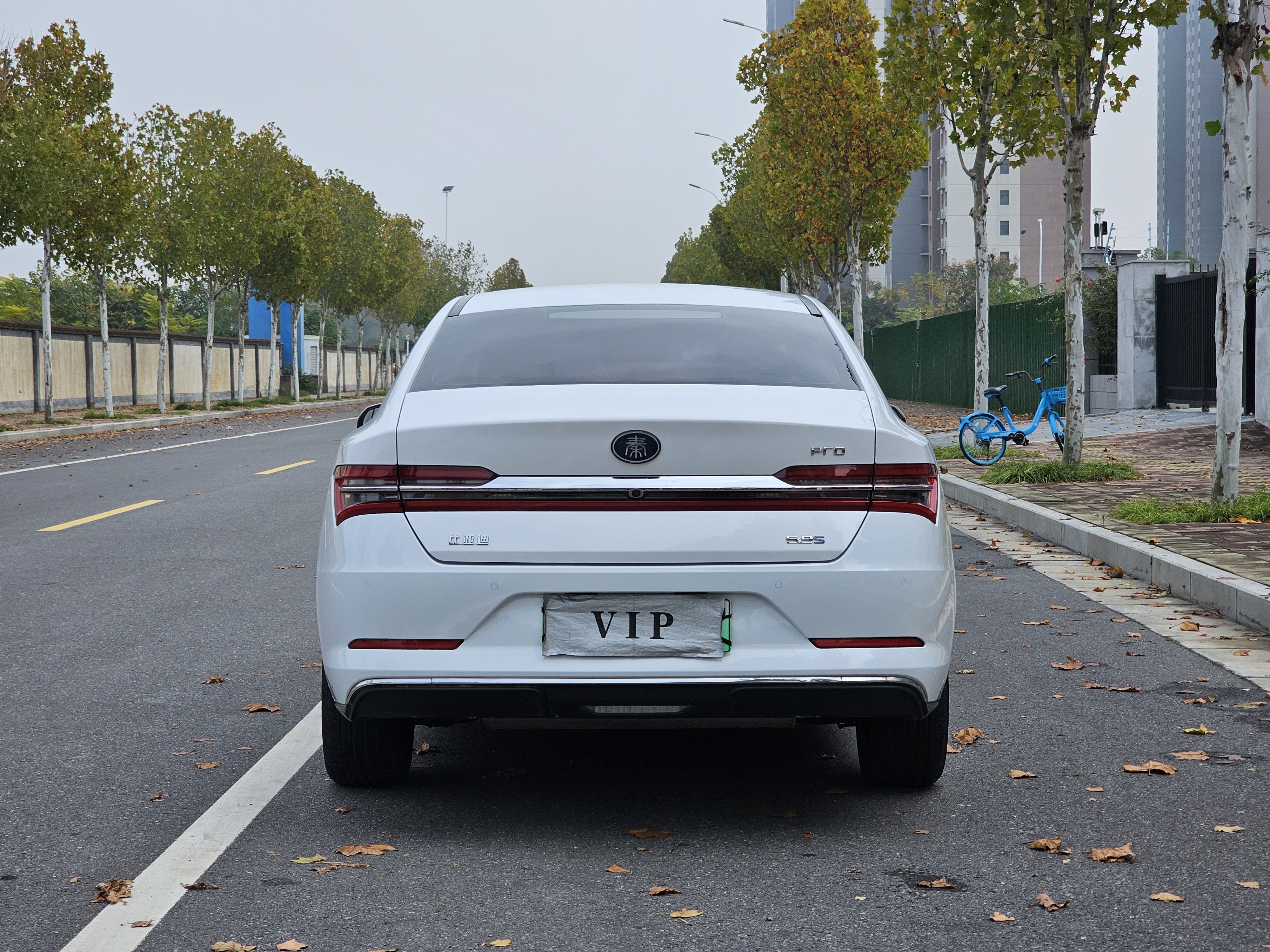 BYD Qin Pro New Energy 2019 #7 BYD Qin Pro New Energy 2019 car image #7