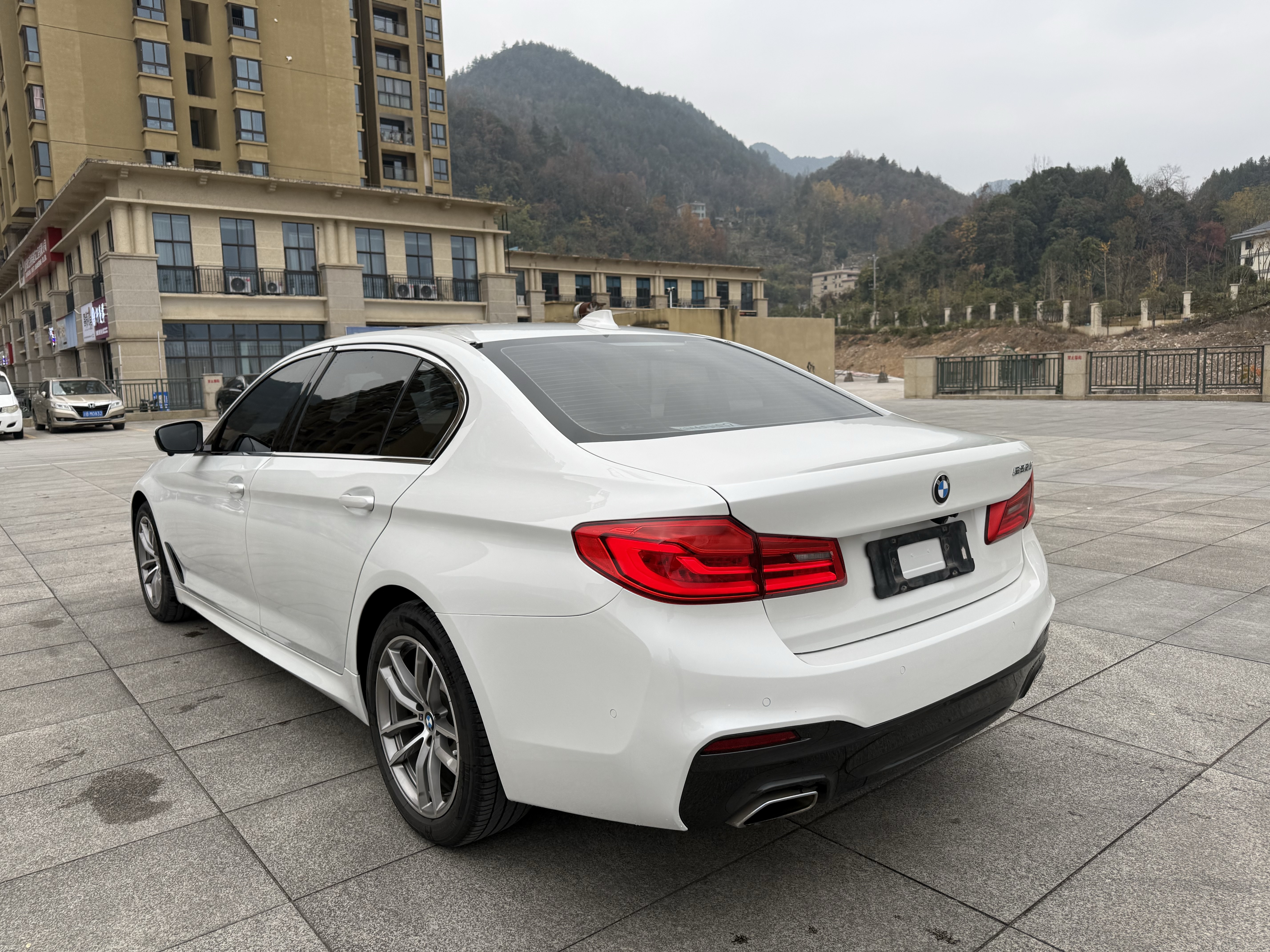 BMW 5 Series 2019 car image #7