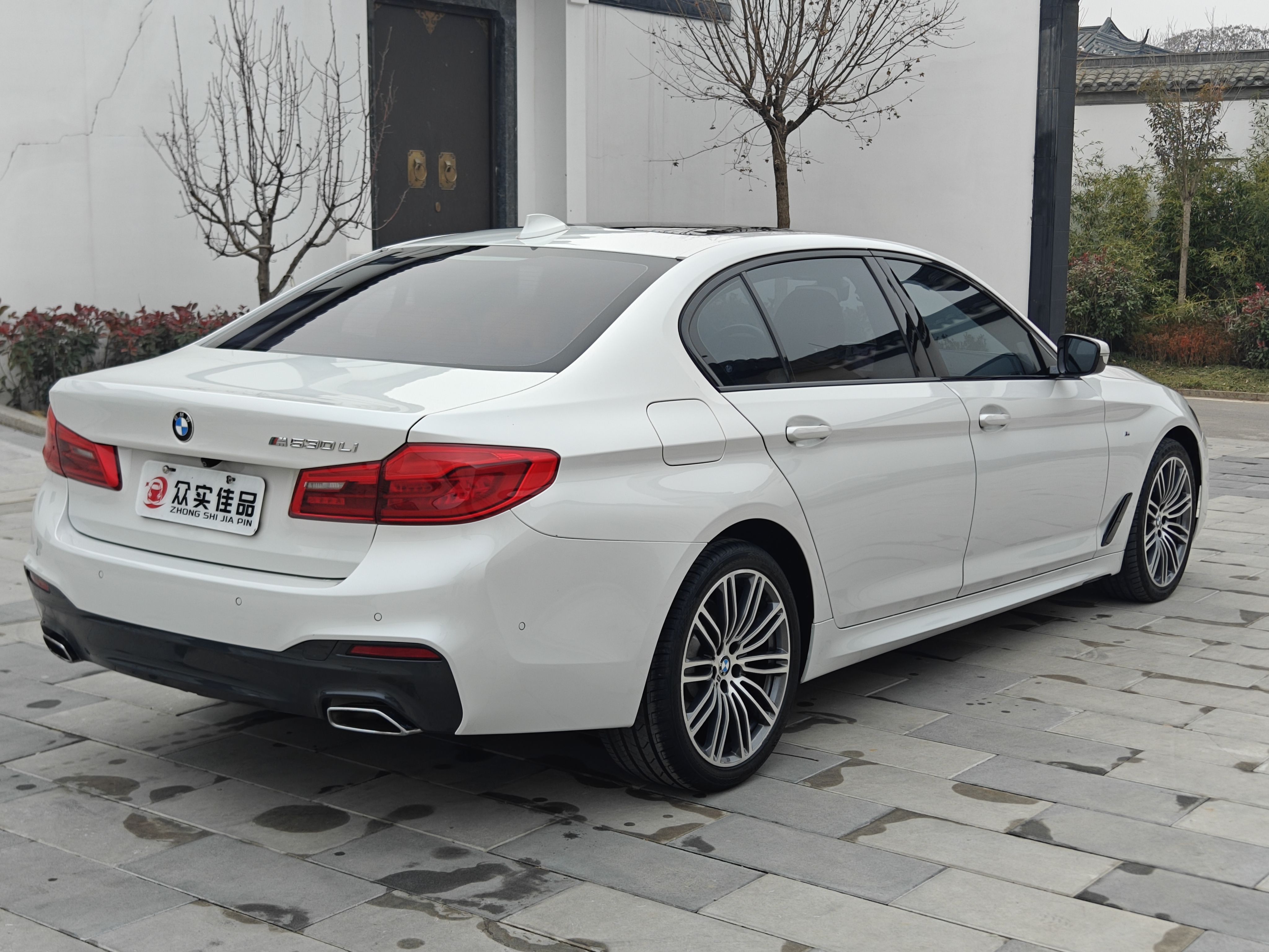 BMW 5 Series 2019 car image #7