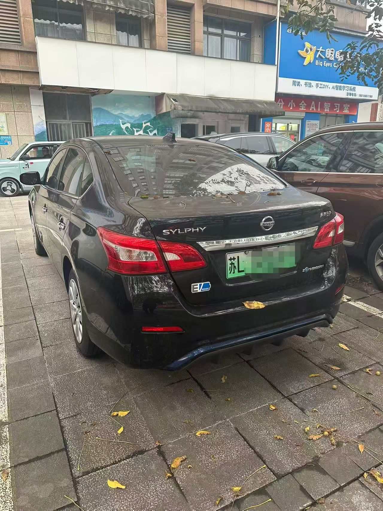 日产 轩逸·纯电 2020 汽车图片 #7