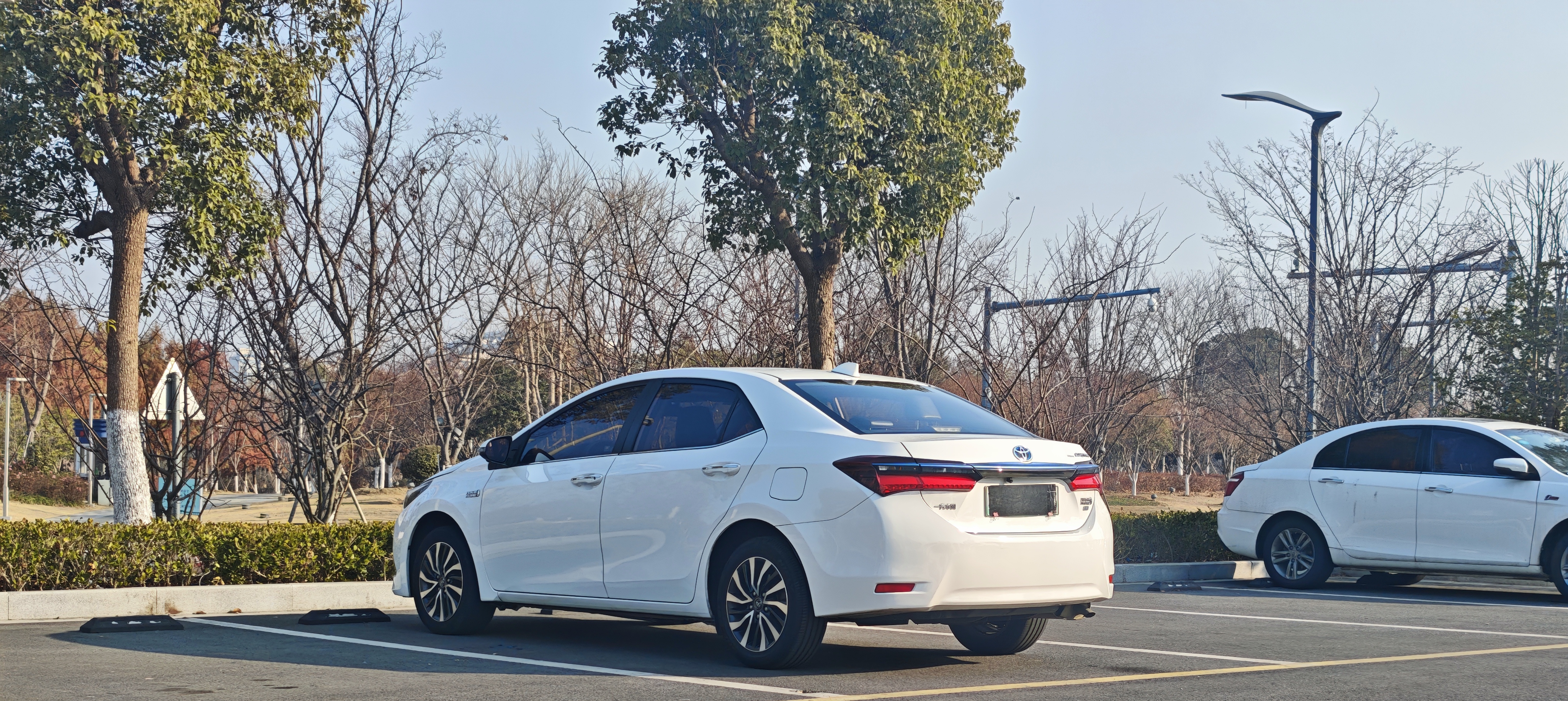 Toyota Corolla Hybird E+ 2020 immagine di auto #7