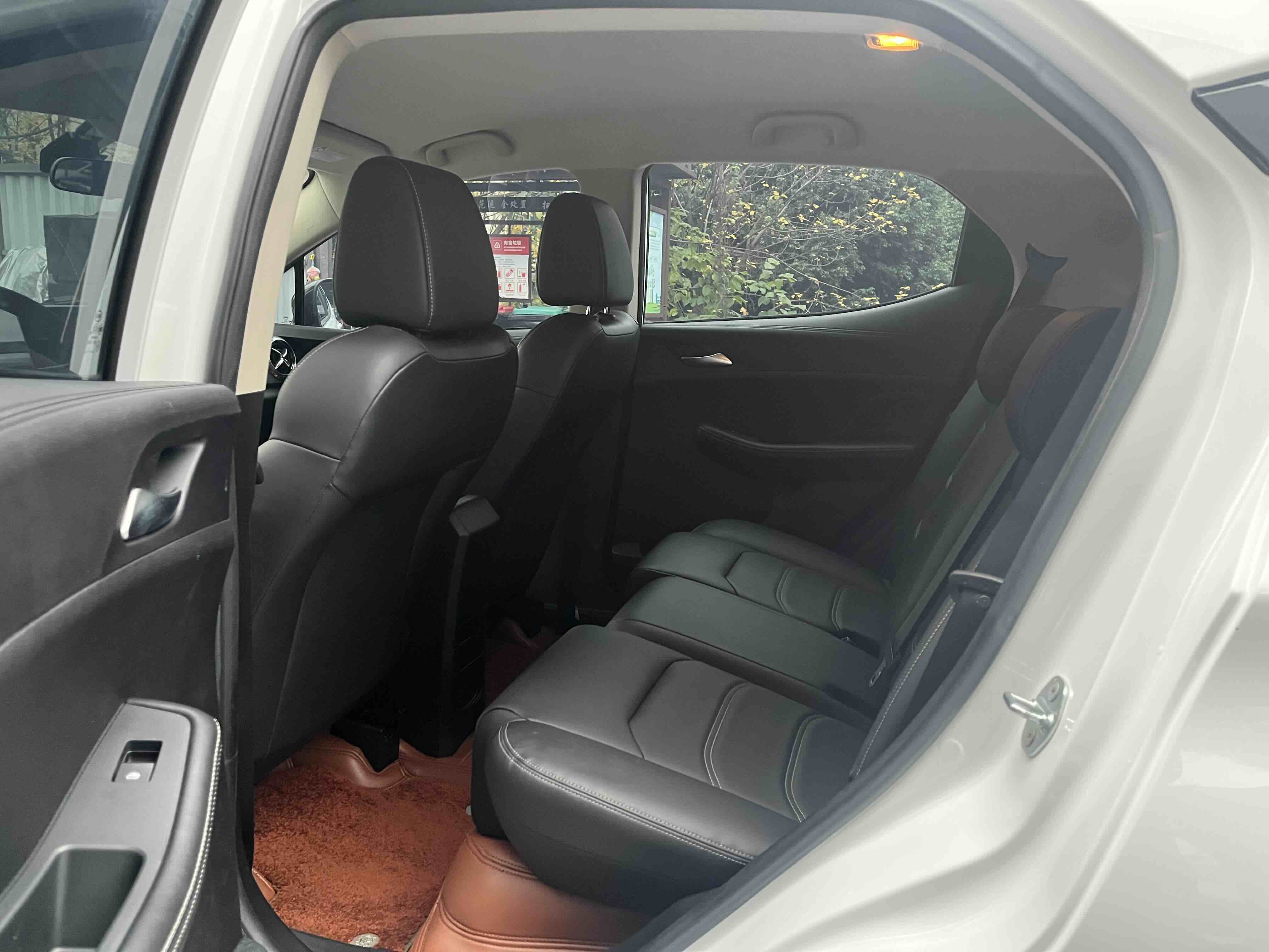 BYD Yuan New Energy 2020 car image #7