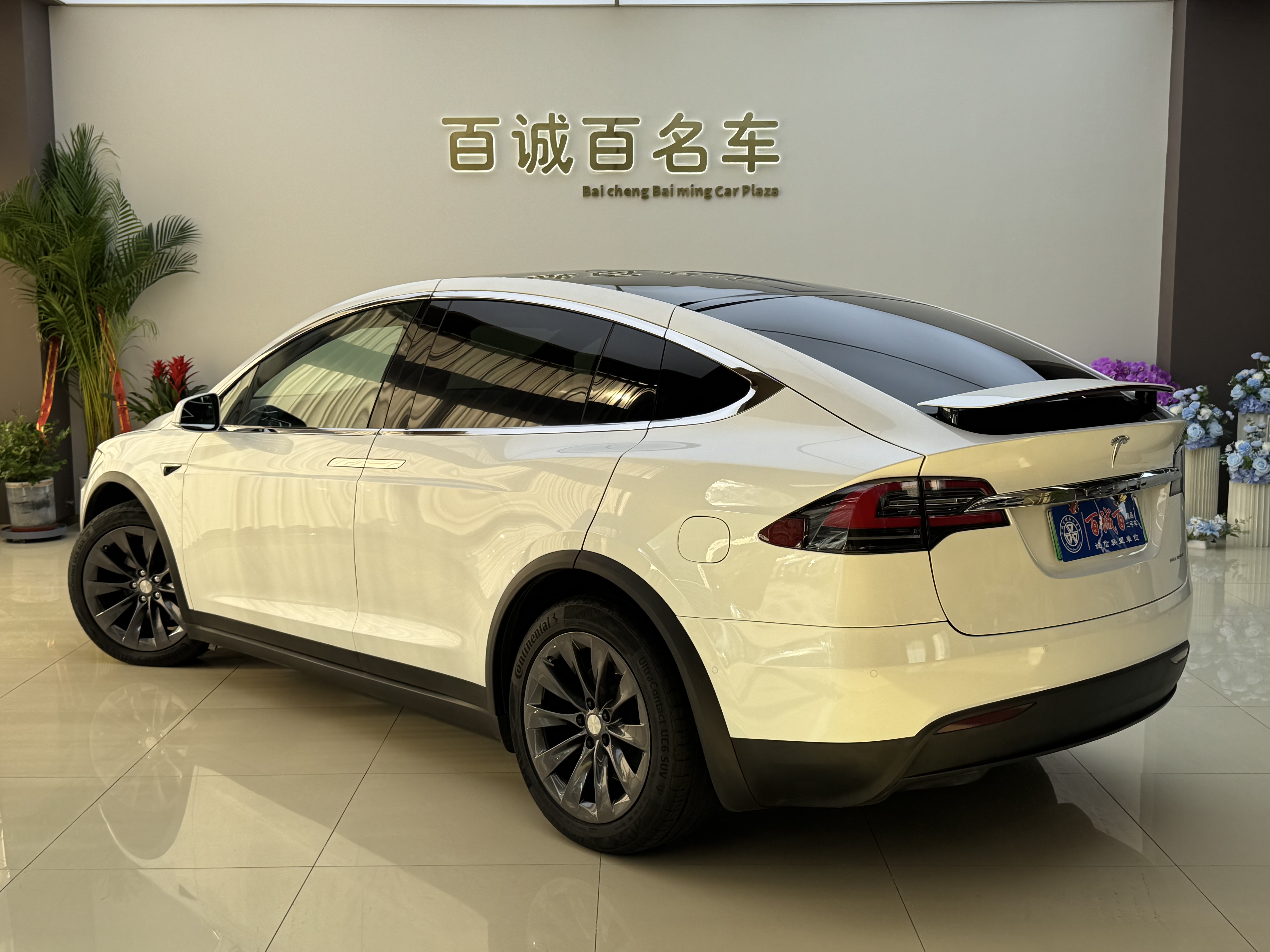 Tesla Model X 2020 #7 Tesla Model X 2020 car image #7