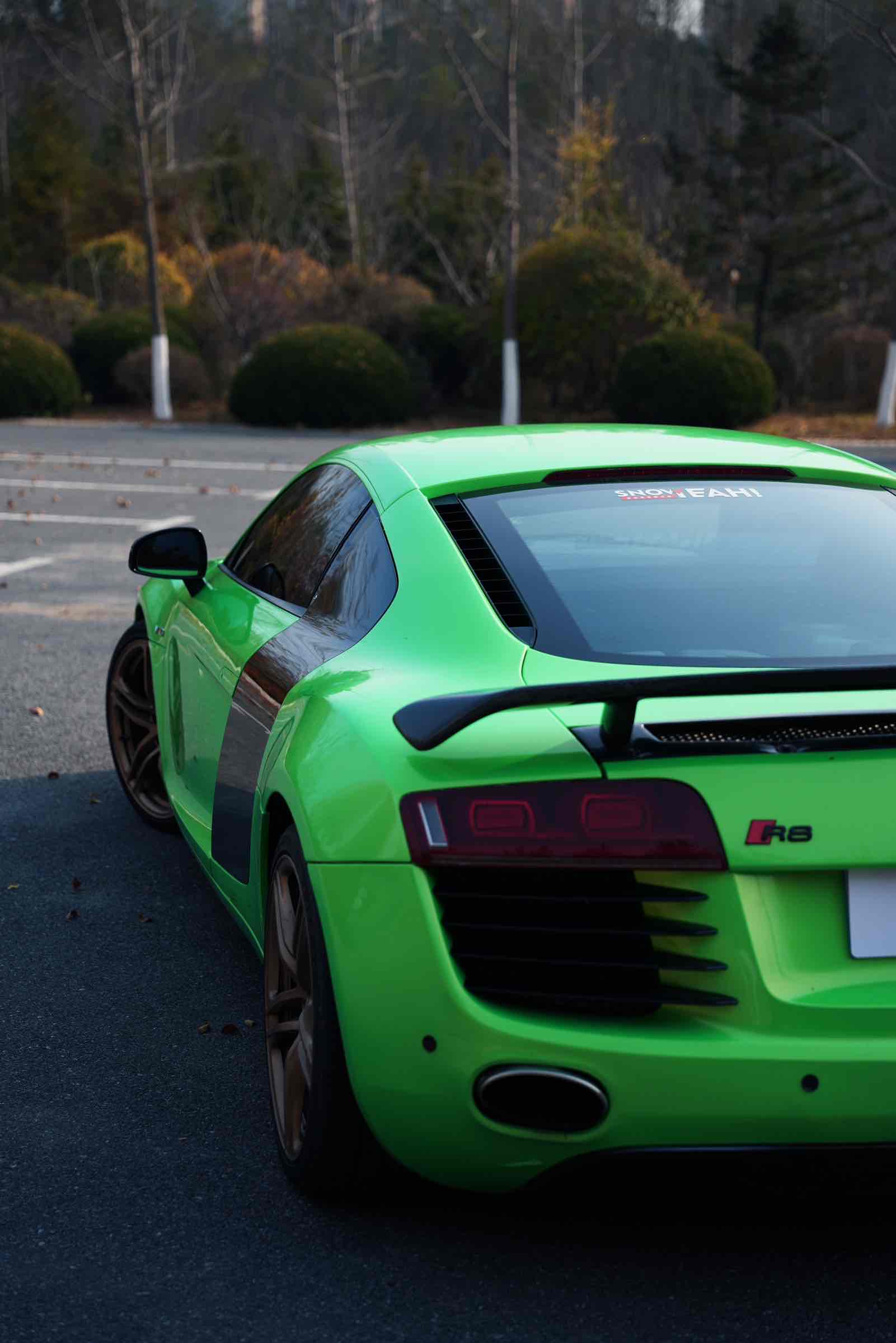 Audi R8 2008 immagine di auto #7