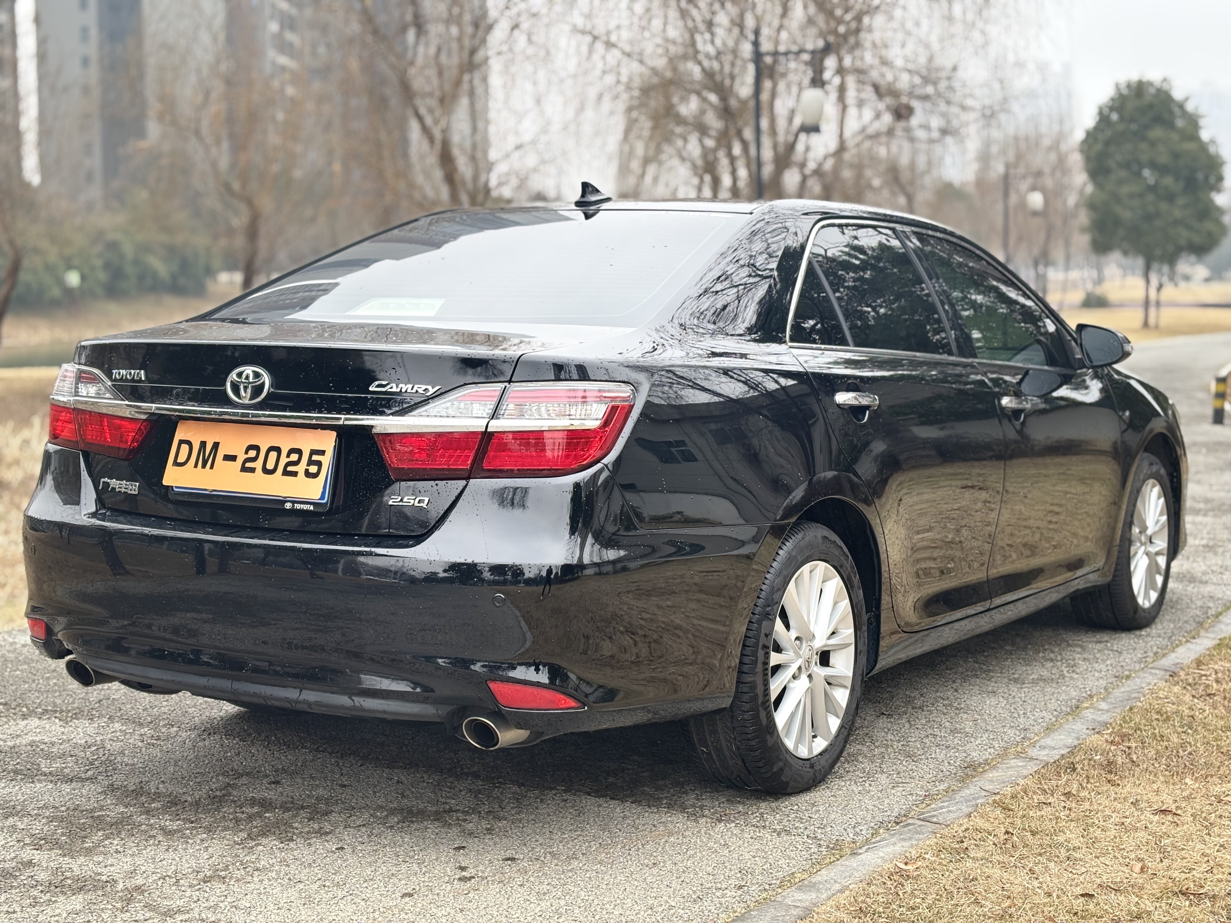 Toyota Camry 2016 car image #7